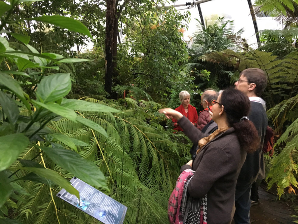 Botanischer Garten